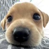 豆友-MjwlJq8fk