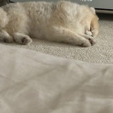 mo