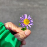 中一百万就辞职