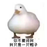 钻进抽屉睡大觉