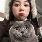 秋折漫岭枝