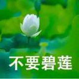 豆友oa5hE1oy74
