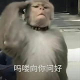 译发不可收拾