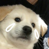 水色天空