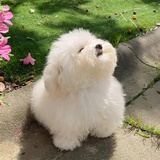 我是小可爱