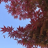 豆友280921253