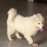 跟我走