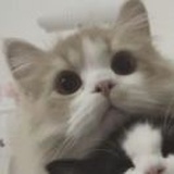 豆友_BwvJGmNPM