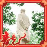 玲龍