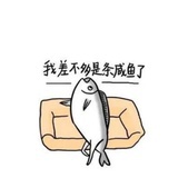 上岸