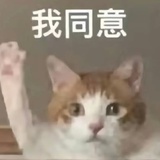 纸鸢