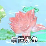 豆友7034298809