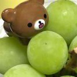 豆友F1Bo1vzgvs