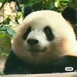 响亮的名号