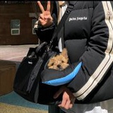豆友7388942852