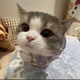 输入昵称