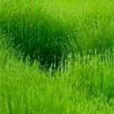 豆友lj_OTGfWhc