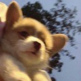 豆友DcqkJqZbj4