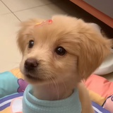 豆友56e62.1638