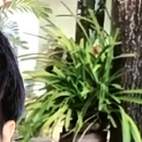 草木子