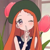 绿油油的小趴菜