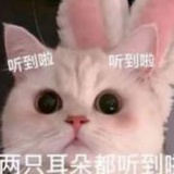 豆几莓莓