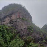 青青河边草