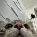 豆友1_L24j57FU