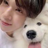 什么都磕的修勾
