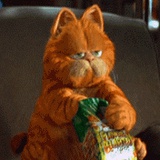 Fattiger