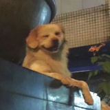 这事我不到啊