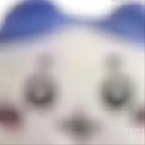 cc