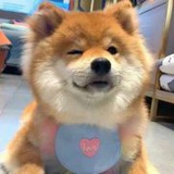豆友5835851508