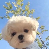金秋十月