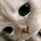 那咋了