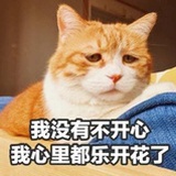 mmomoo