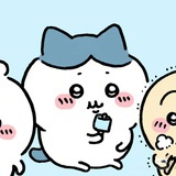 你们不困吗