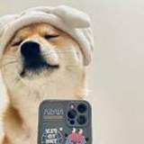 豆友RUzFeJUSIw