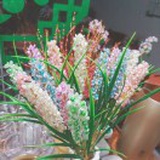 豆友E6xp-2vbd0