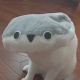 冬天一个游