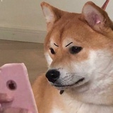小刘考研