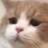 豆友bHTfyyM8WQ