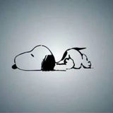 像雾像雨又像风