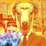 豆友2VOMJDq4zM
