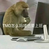 没有名字下一个