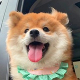 momomomomo