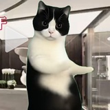 嘿哈创作