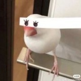 小梅