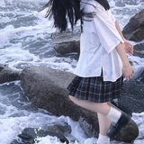 海边的贝壳