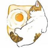 豆友RkVLMiOLv0